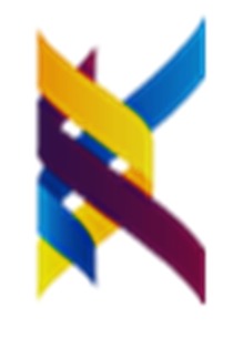 LEXEL KNITWEAR LIMITED